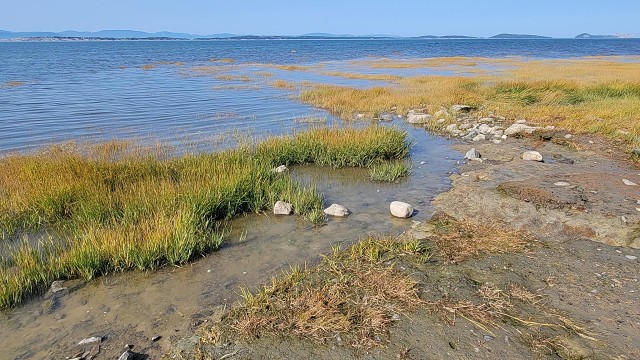 Kamouraska - Bord De L'eau